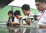 WCC_Corporate_Structure_thumb2
