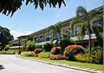 WCC_Corporate_Structure_thumb6